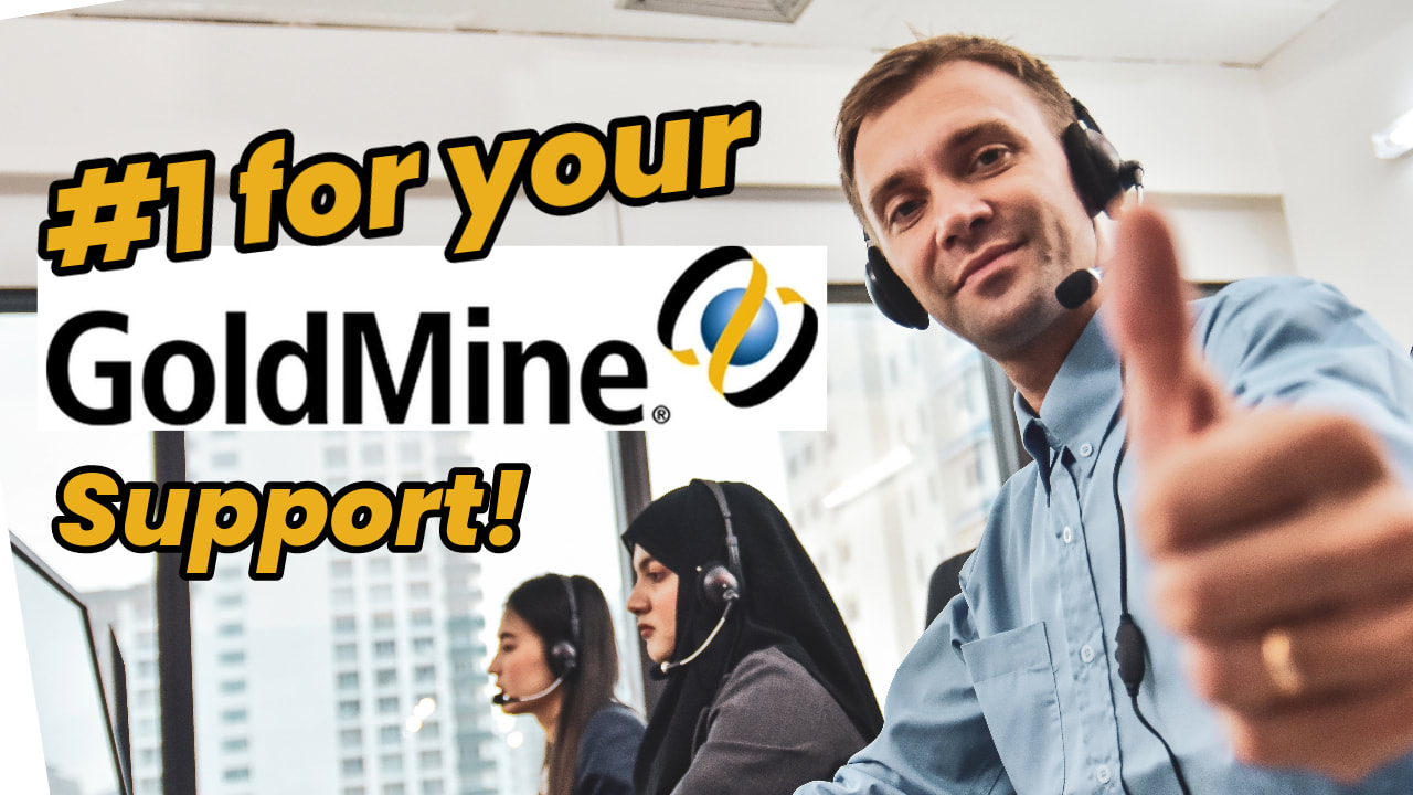 GoldMine Support